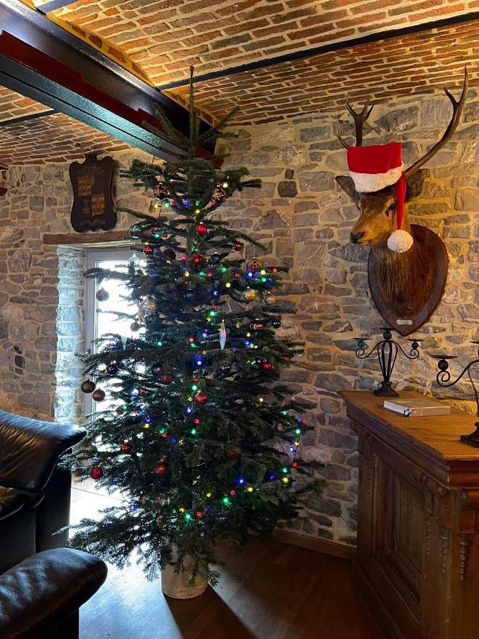 Maison de campagne pour 5 personnes, avec jardin et vue, animaux acceptés à Beauraing - 4