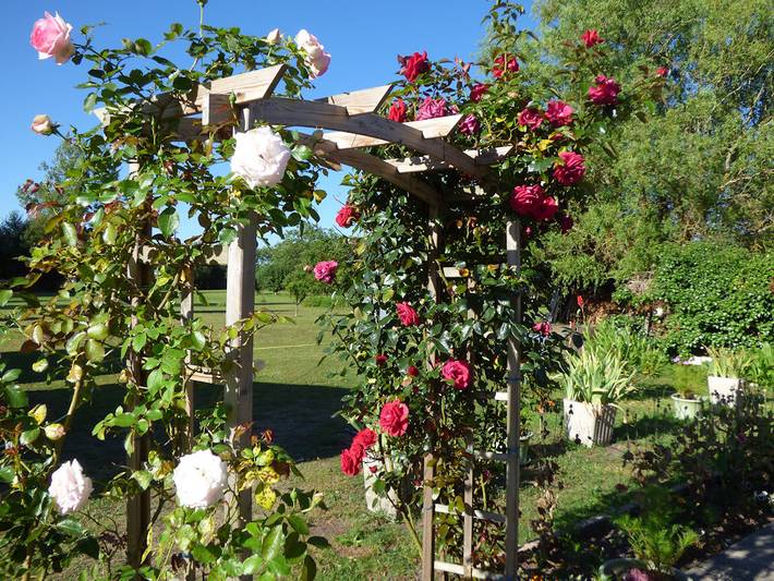 Chambre d’hôte pour 4 personnes, avec jardin dans les Pays de la Loire - 2