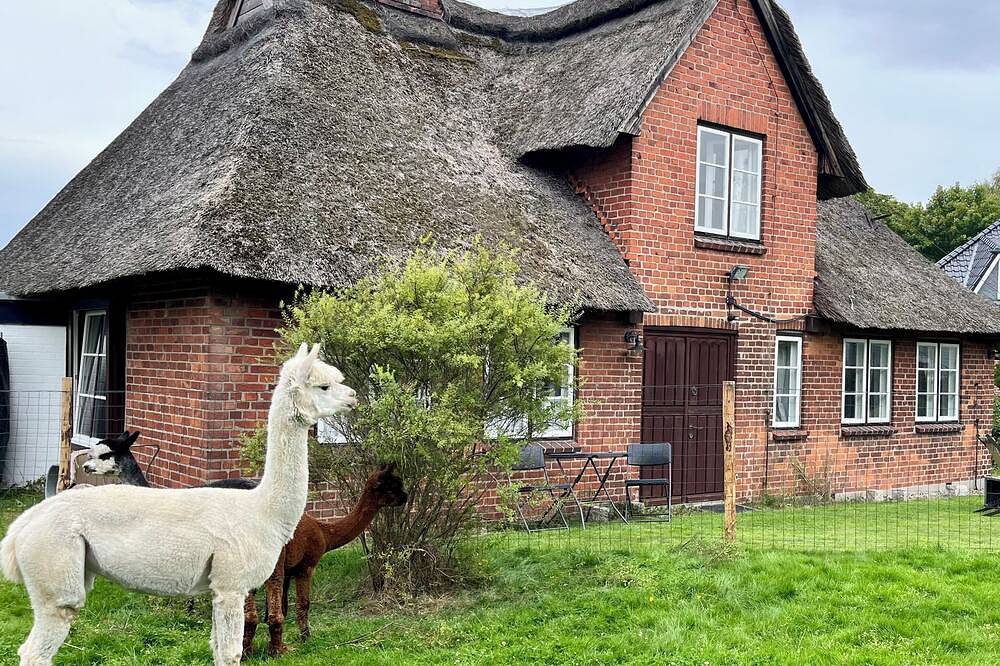 Ostsee - Romant. Ferienhaus / Ferienwohnung nahe Scharbeutz u Eutin mit Alpakas in Süsel, Ostholstein