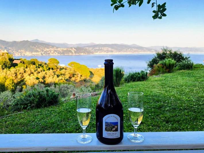 Privatzimmer für 2 Personen, mit Ausblick und Terrasse sowie Garten in Portofino - 3