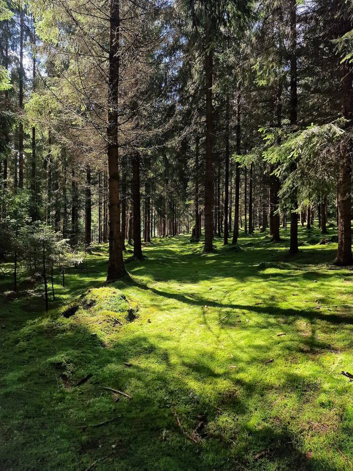 Ferienhaus für 4 Personen, mit Garten im Fichtelgebirge - 4