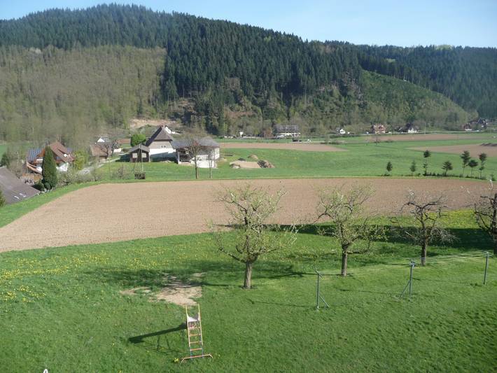 Ferienwohnung für 4 Personen, mit Balkon/Terrasse und Balkon sowie Garten in Ortenaukreis - 4