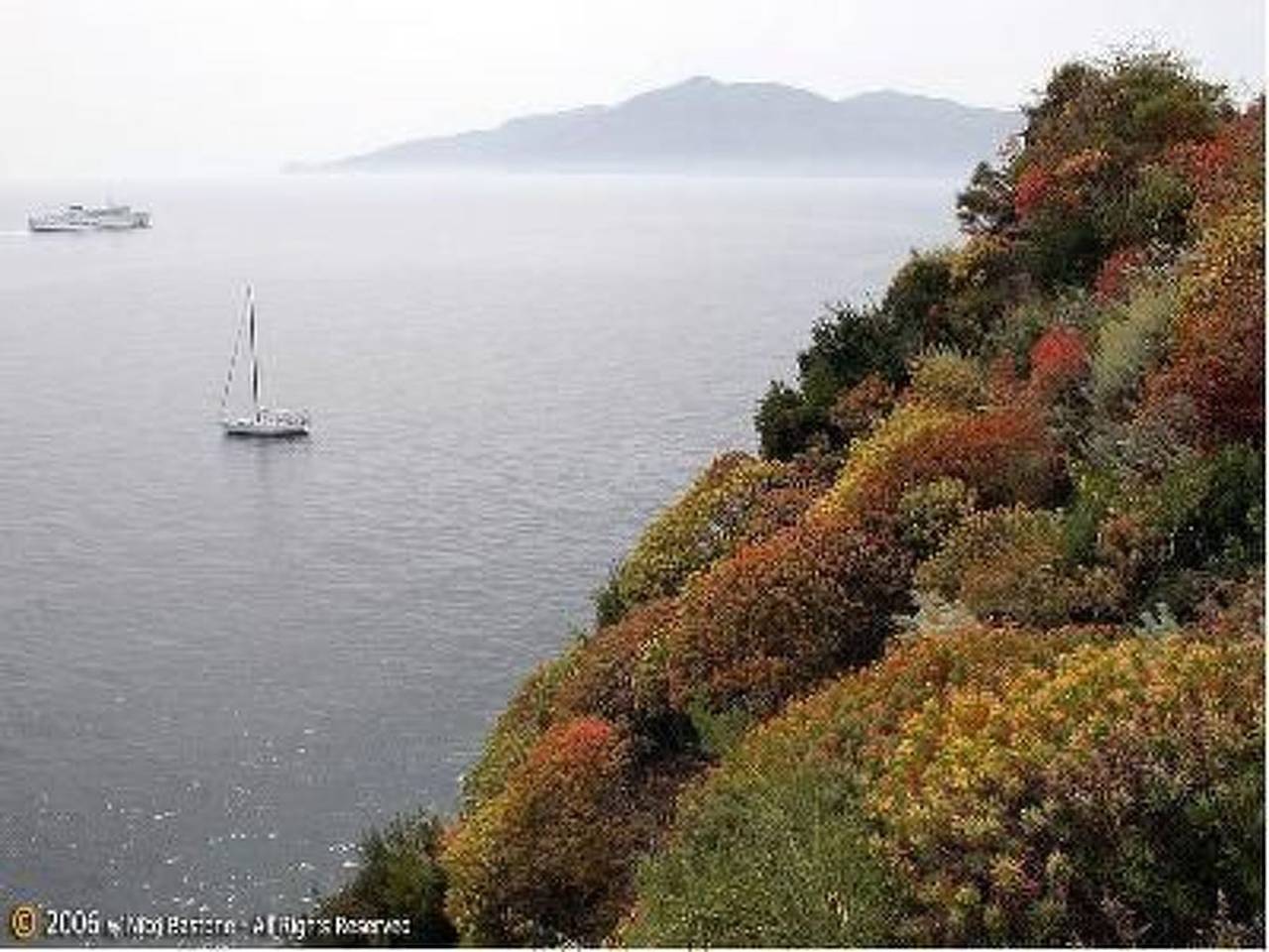 Appartement entier, Mandarin Wohnung in Gioiosa Marea, Province de Messina