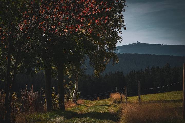 Entire apartment, Apartment 'Bärenstein - Pano-Blick 1' with Mountain View, Balcony and Wi-Fi in Bärenstein, Ore Mountains