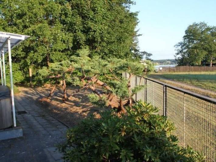 Ferienhaus für 2 Personen, mit Garten in Schwielochsee - 2