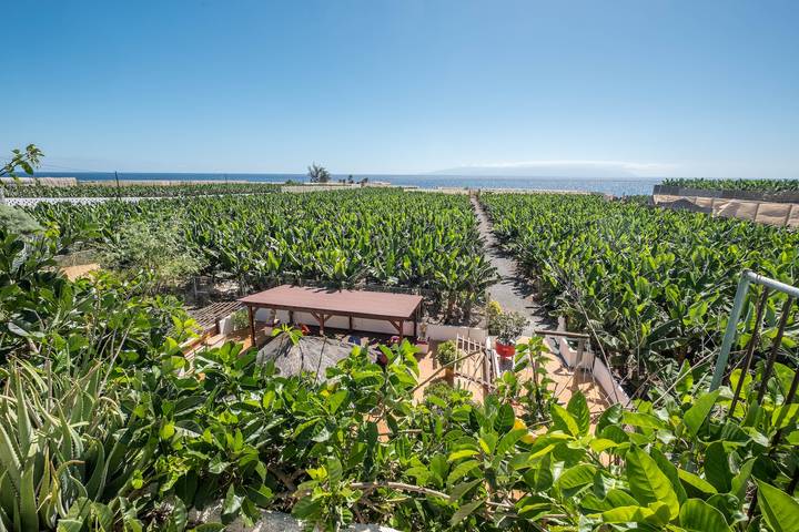 Ferienhaus für 4 Personen, mit Garten in Alcalá - 4