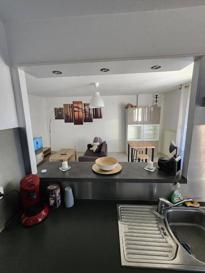 Gîte pour 2 personnes, avec terrasse et jardin à Kingersheim - 3