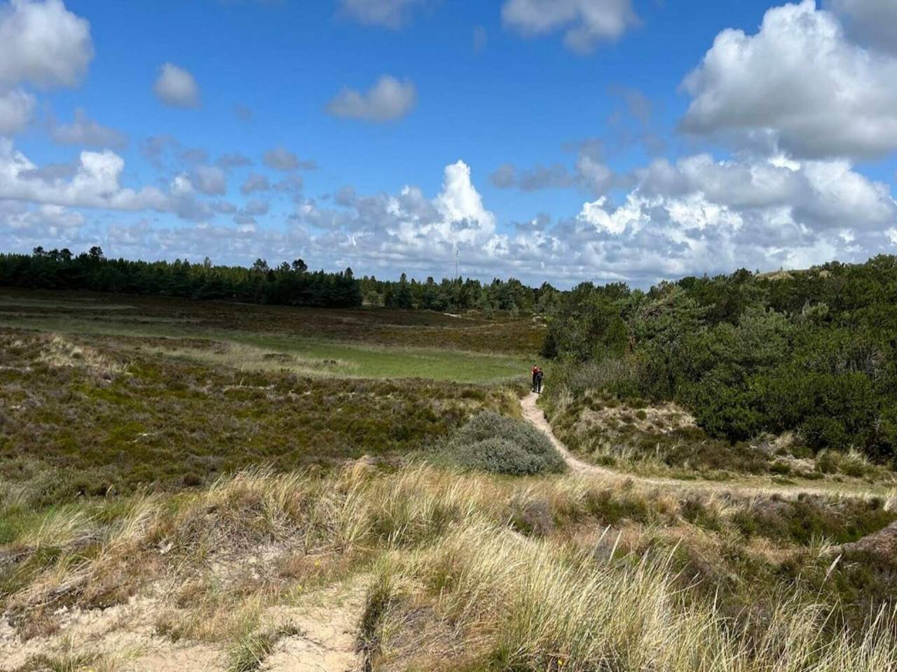 Luxus-Ruckzug in Toftum -- By Traum Ferienwohnungen in Toftum, Rømø