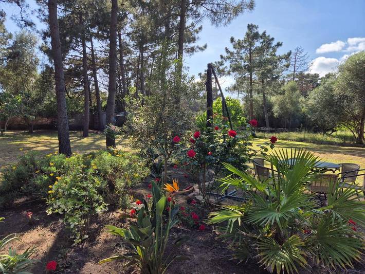 Gîte pour 6 personnes, avec vue et jardin dans Plage de Tenutella - 2