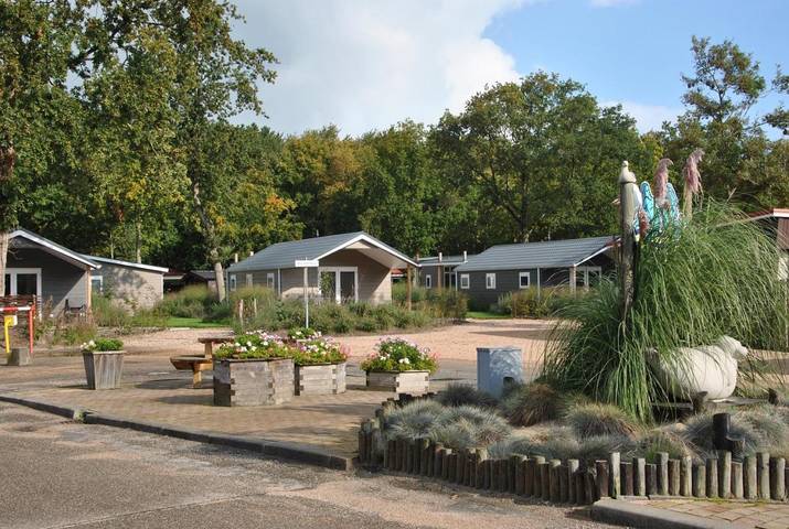 Vakantiepark voor 4 personen, met Terras en Tuin in Renesse
