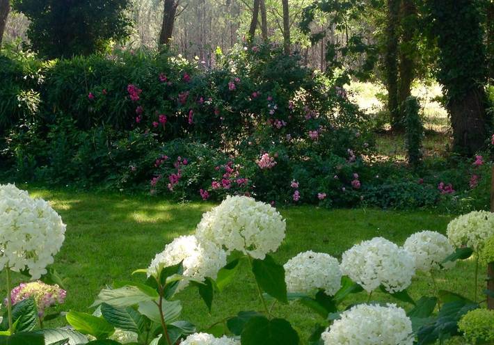Gîte pour 4 personnes, avec terrasse et jardin à Soustons - 4