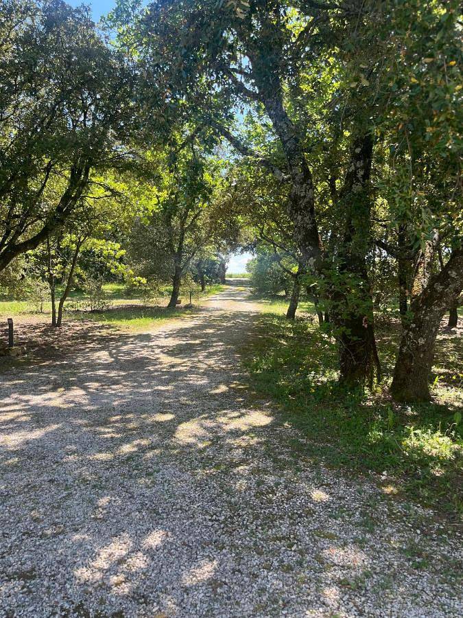 Location de vacances pour 2 personnes, avec vue à Grignan - 4