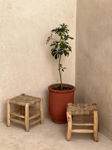 Maison d’hôte pour 2 personnes, avec terrasse dans Tamraght Ouzdar