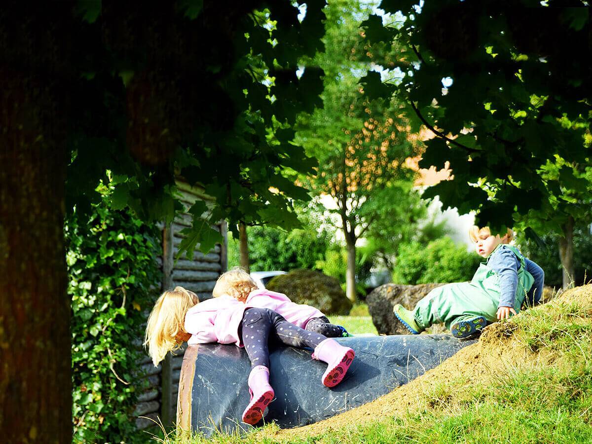 Hubertushof Eifel - Falke in Schönbach, Vulkaneifel