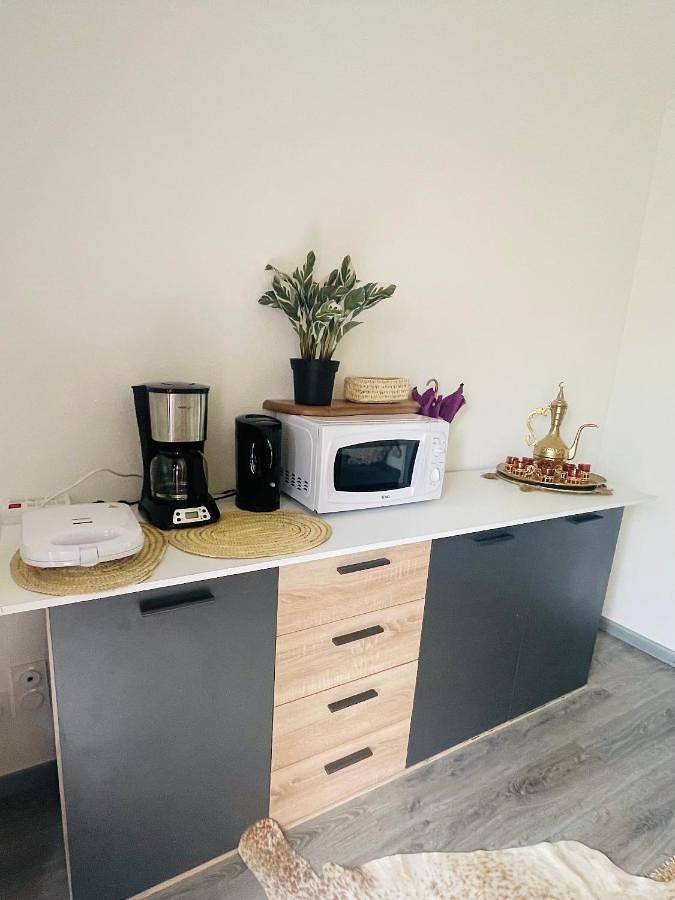 Gîte pour 4 personnes, avec terrasse ainsi que vue sur le lac et vue à Vieille-Brioude - 4