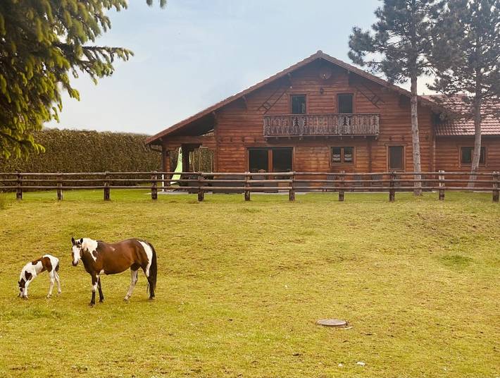 Chalet pour 14 personnes, avec jardin et balcon dans le Doubs - 3