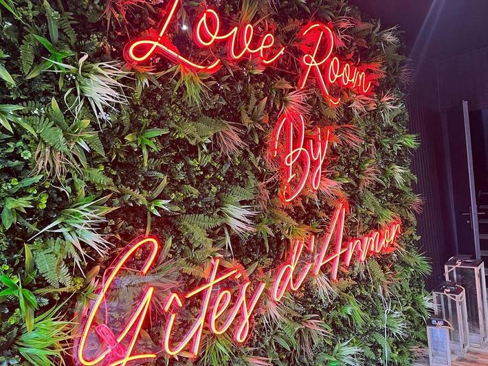 Hôtel pour 2 personnes, avec jacuzzi ainsi que jardin et terrasse, animaux acceptés à Plélo - 3