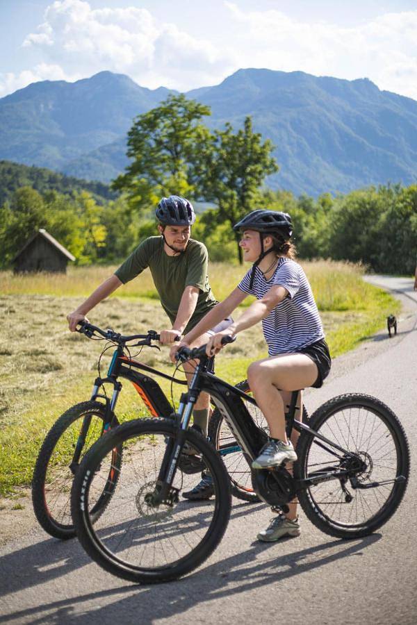 Location de vacances pour 10 personnes, avec terrasse et vue, animaux acceptés dans Bohinjska Bistrica - 3