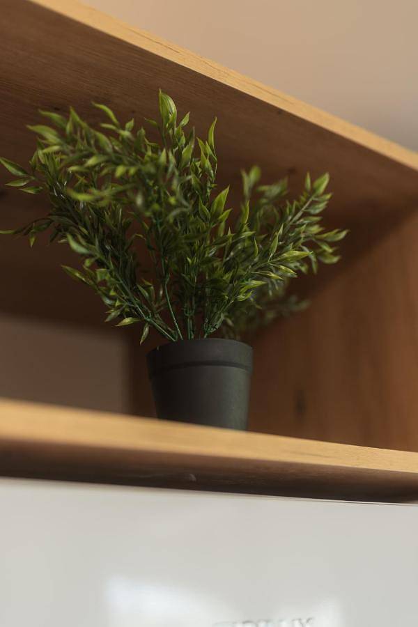 Gîte pour 4 personnes, avec vue et balcon dans Veliko Tarnovo - 2