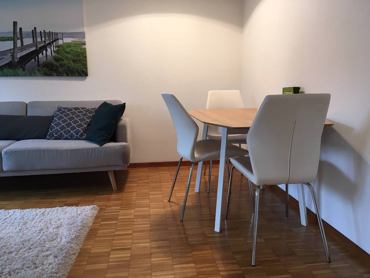 Ganze Wohnung, 2 Zimmer mit Balkon, zentrale, ruhige Lage in St. Gallen, Zürich Voralpen