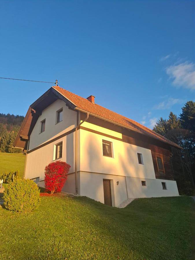 Ferienhaus für 5 Personen, mit Ausblick und Garten in Lavanttal - 3