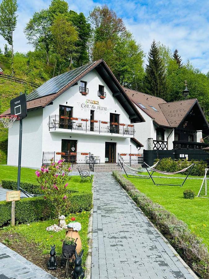 Villa pour 10 personnes, avec piscine ainsi que vue et jardin en Roumanie