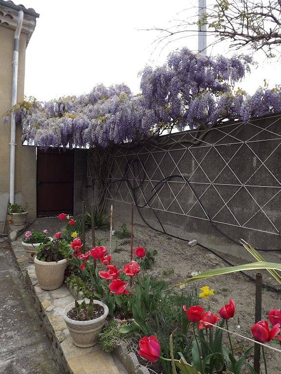Chambre chez l'habitant - Chambre Mimosa in Carcassonne, Région de Carcassonne