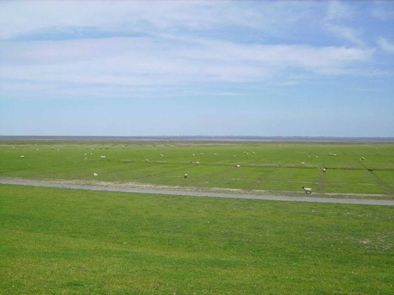 Pension Bed & Breakfast hinterm Nordseedeich in Friedrichskoog, Friedrichskoog Region