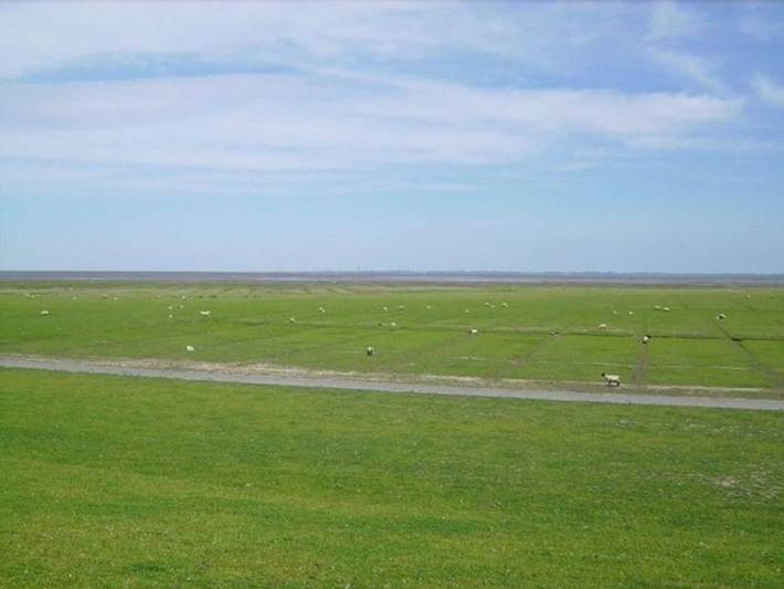 Hotel für 2 Personen, mit Garten in Friedrichskoog - 4
