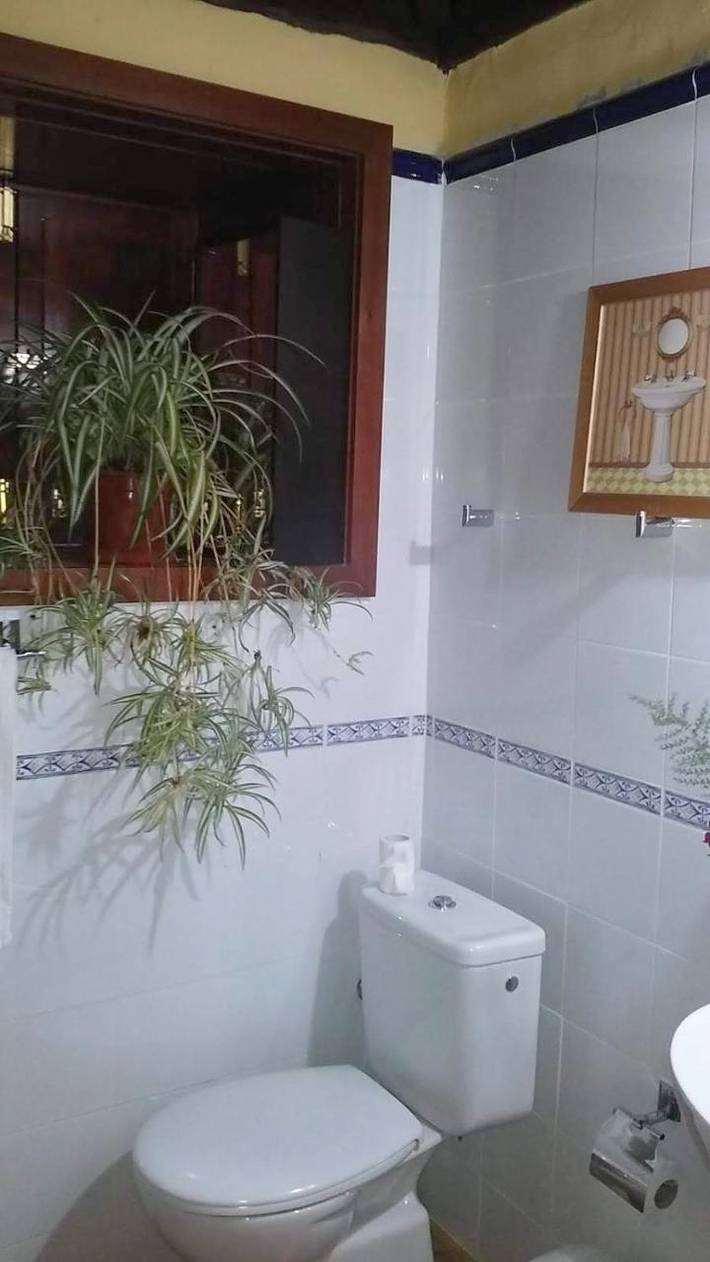 Ferienhaus für 2 Personen, mit Ausblick und Garten in Puntagorda - 4