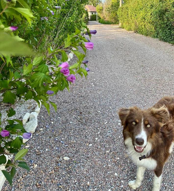 Location de vacances pour 8 personnes, avec jardin et vue à Cosne-Cours-sur-Loire - 3