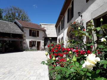 Chambre d’hôte pour 2 personnes, avec jardin, animaux acceptés dans les Vosges