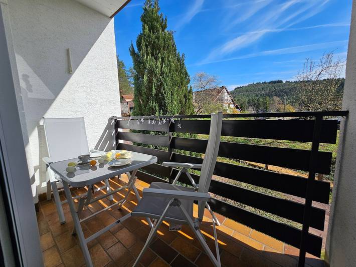 Ganze Ferienwohnung, Waldnest - nid dans la forêt - Appartement/Fewo, Dusche, Wc, 1 Schlafraum in Fischbach bei Dahn, Landkreis Südwestpfalz