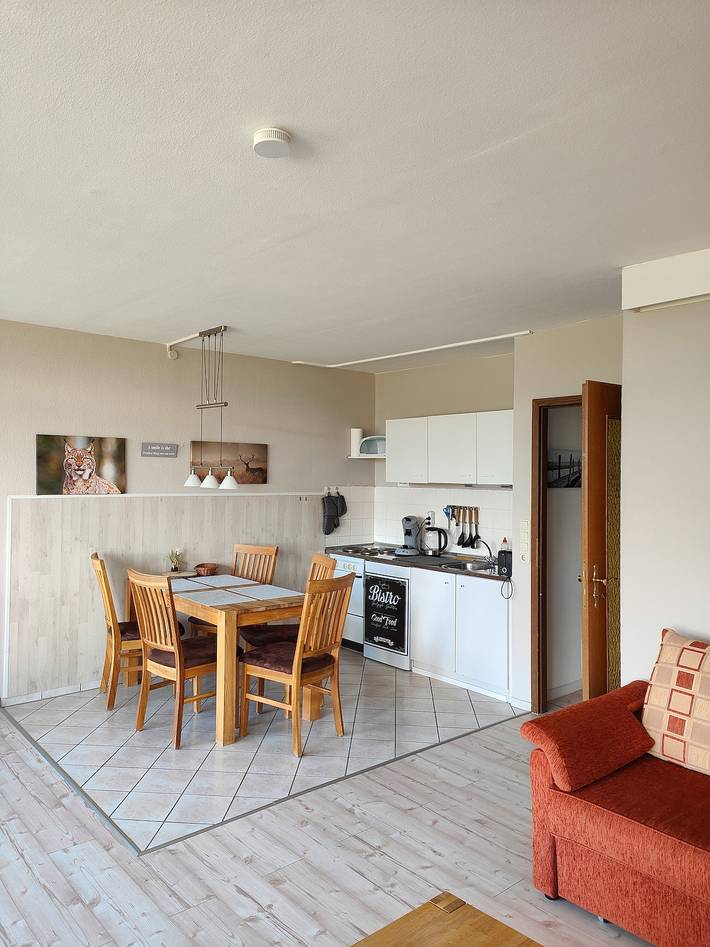 Ferienwohnung für 4 Personen, mit Sauna und Balkon in Hohegeiß - 2