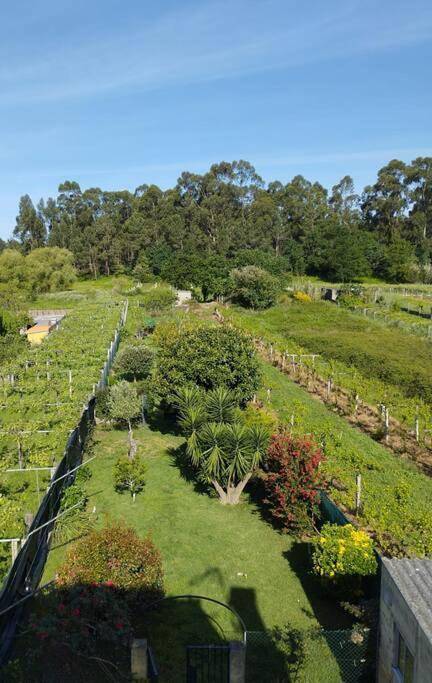 Casa de vacaciones para 8 personas, con terraza además de vistas y jardín, Se admiten mascotas - 1