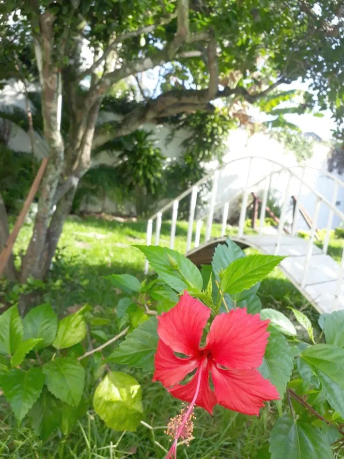 Casa vacanza per 2 persone, con giardino - 1