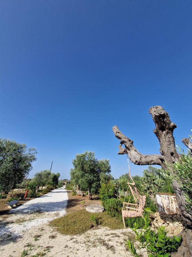 Location de vacances pour 7 personnes, avec bassin pour enfant et jardin ainsi que vue et piscine, animaux acceptés à San Cesario di Lecce - 4