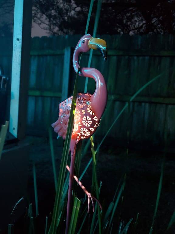 10 mins from the beach, pet friendly, huge yard! in Clearwater, Pinellas County