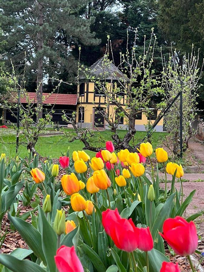 Location de vacances pour 2 personnes, avec jacuzzi et jardin dans Ostheim