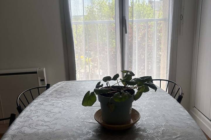 Appartement entier, Chic studio en centre-ville, parking - 2 pers. in Sablé-sur-Sarthe, Sarthe