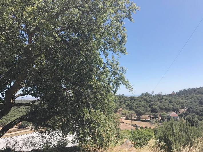 Maison de campagne pour 4 personnes, avec jardin et vue à Monchique - 3