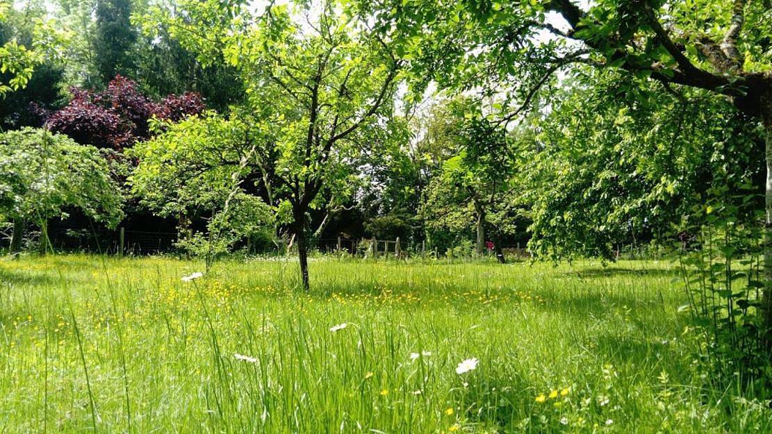 Maison spacieuse et cosy à la campagne proche de Strasbourg et de l'aéroport in Achenheim, Région de Strasbourg