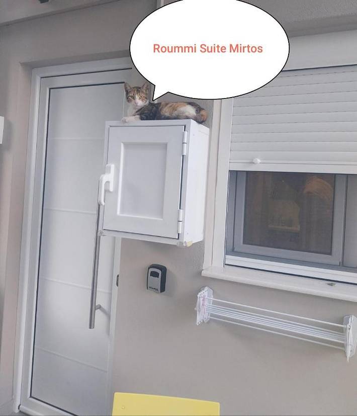 Location de vacances pour 2 personnes, avec balcon et vue dans Myrtos - 4