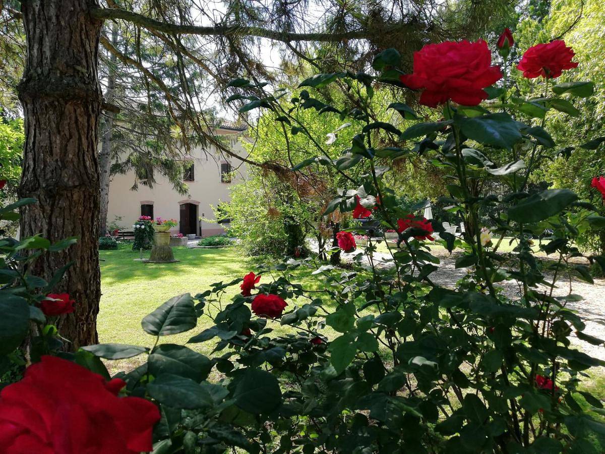 B&B Casa Manuela in Mantova, Provincia di Mantova