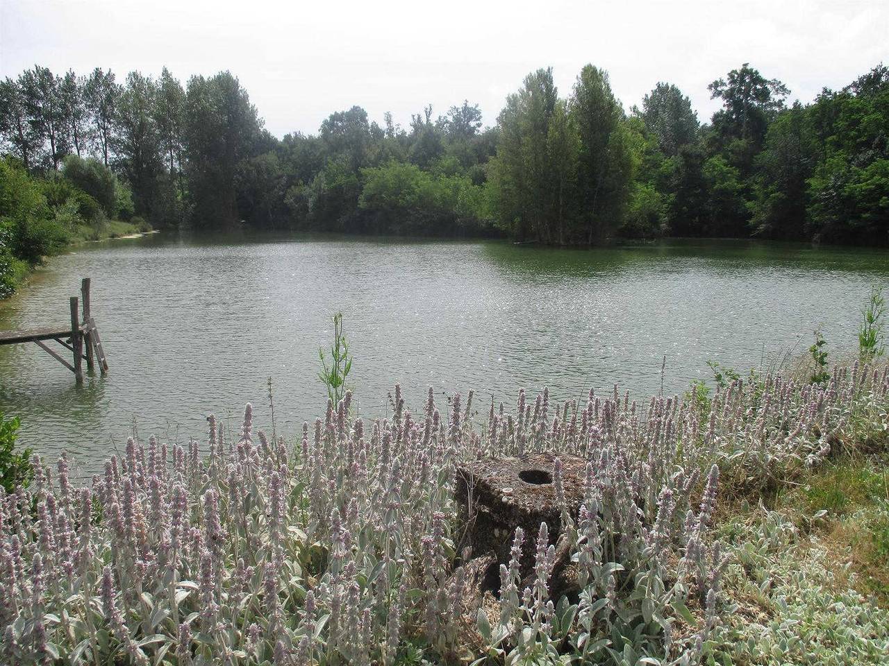 La Carle in Saint-Léon, Lauragais