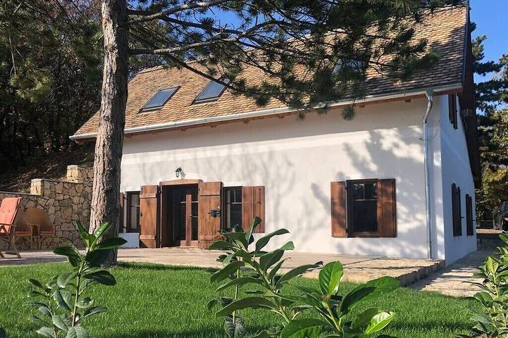 Holiday home for 10 people, with pets - 1