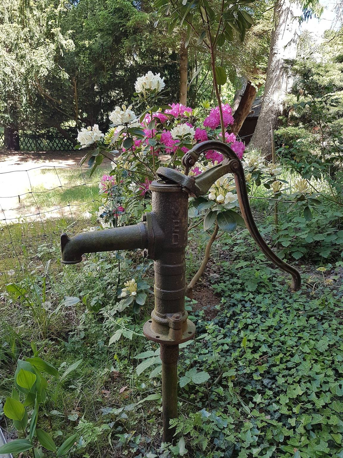 Ganze Ferienwohnung, "Am Prerow Strom" in Ostseebad Prerow, Prerow