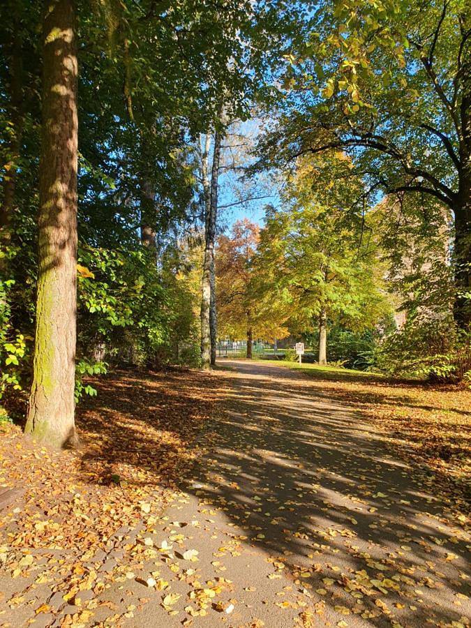 Location de vacances pour 3 personnes, avec vue et terrasse, animaux acceptés à Wissembourg - 3