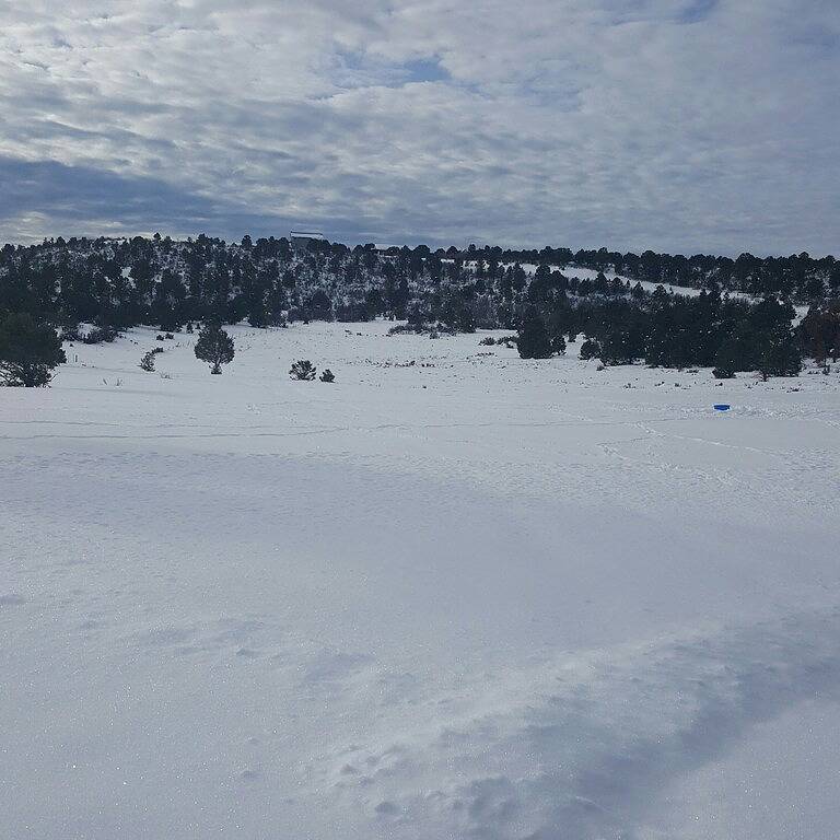 Mountain View Cottage in San Juan National Forest