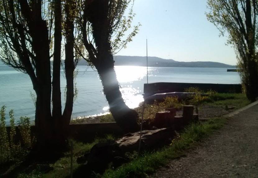 Ganze Ferienwohnung, Ferienwohnung Angela - A. Fickenscher u. D. Barth - 2-Zimmer-Fewo, Erdgeschoss, 50 m² in Reichenau, Untersee